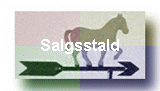 Salgsstald